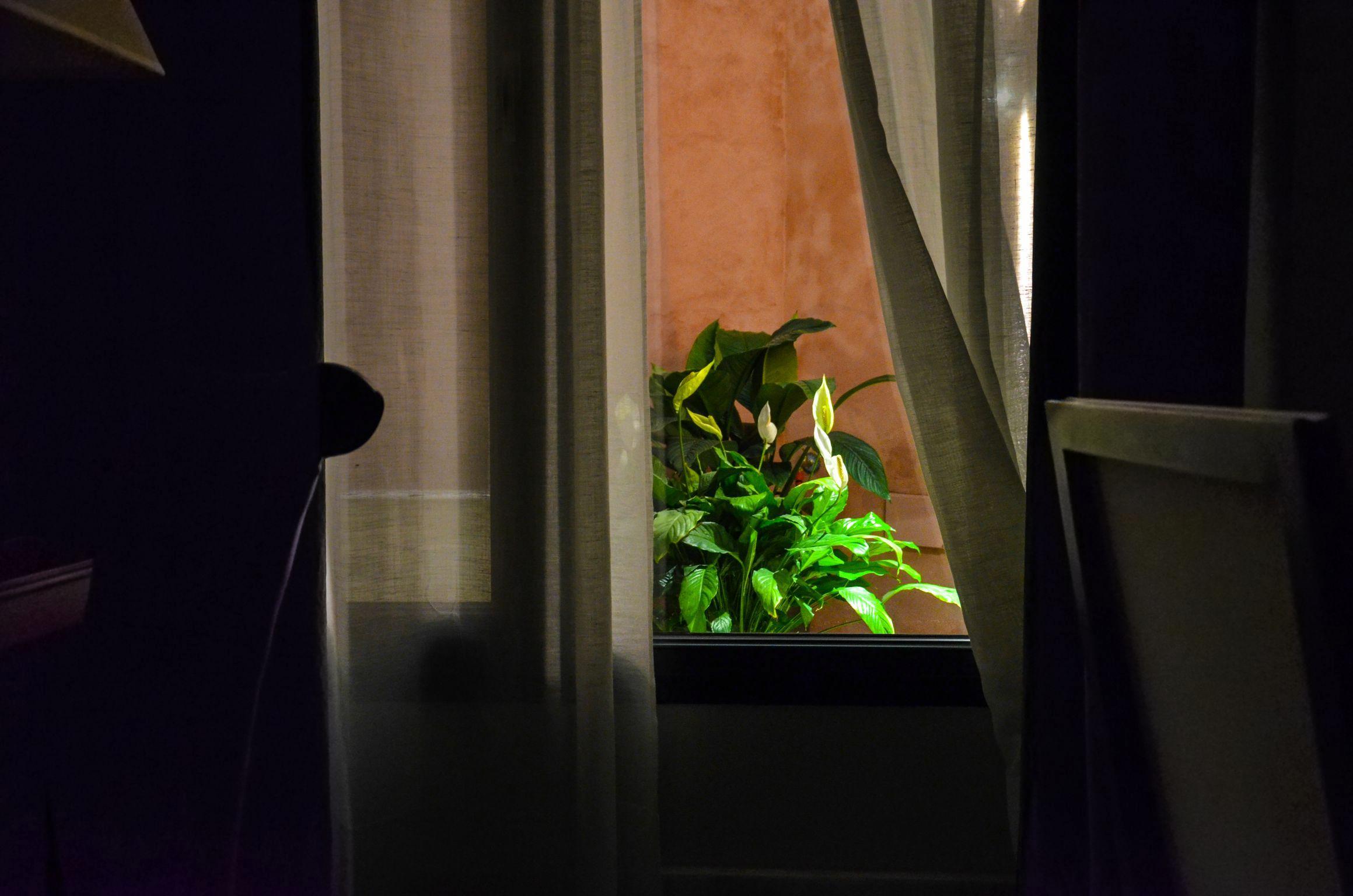 Aguilas5 Sevillasuites Kültér fotó